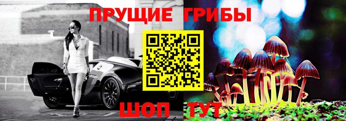 Галлюциногенные грибы Cubensis Тара